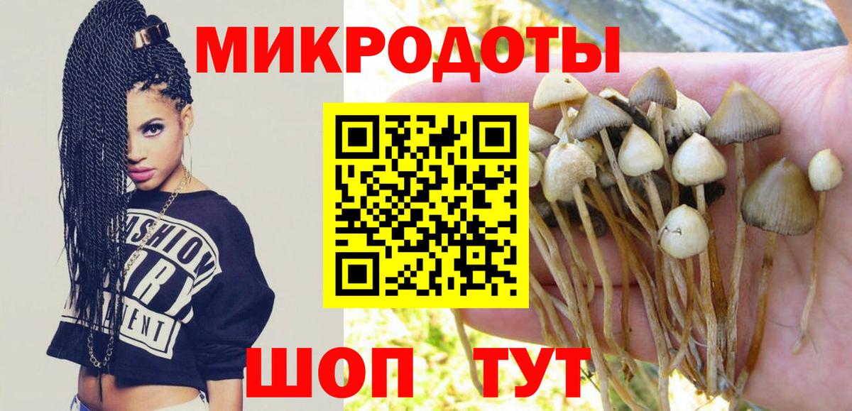 Псилоцибиновые грибы Magic Shrooms Муром