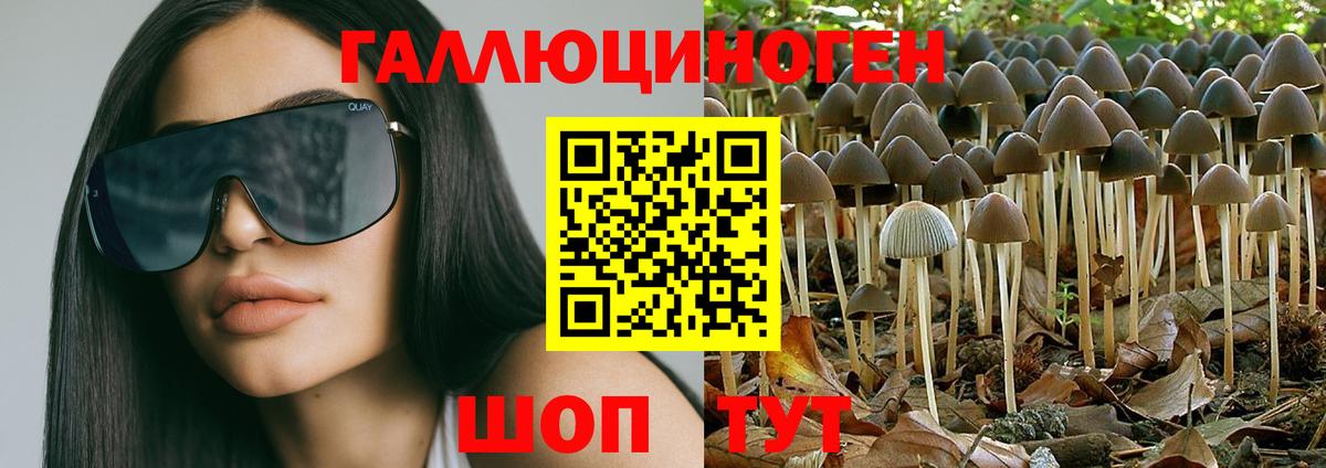 Галлюциногенные грибы Psilocybine cubensis  Вход с VPN  Муром 