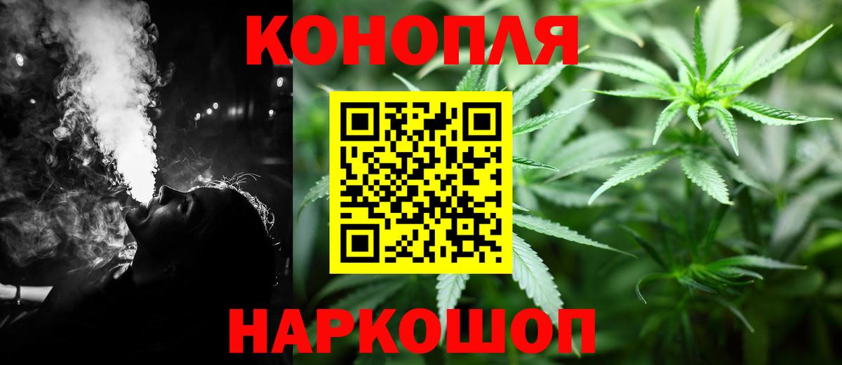 Муром  Канабис сатива  Бошки Шишки конопля  Канабис конопля  Вход с VPN 